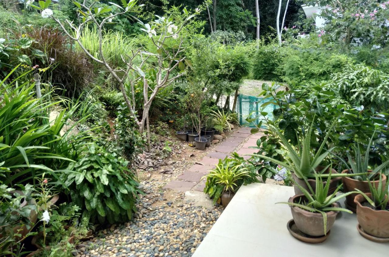 Perfect Sea View Mountain Villa Koh Samui Chaweng  Exterior foto