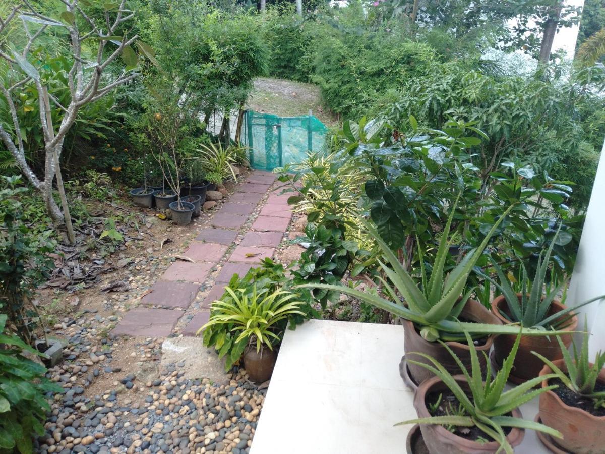 Perfect Sea View Mountain Villa Koh Samui Chaweng  Exterior foto